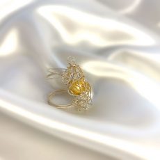 'Radiant Golden Touch' Double Ring
